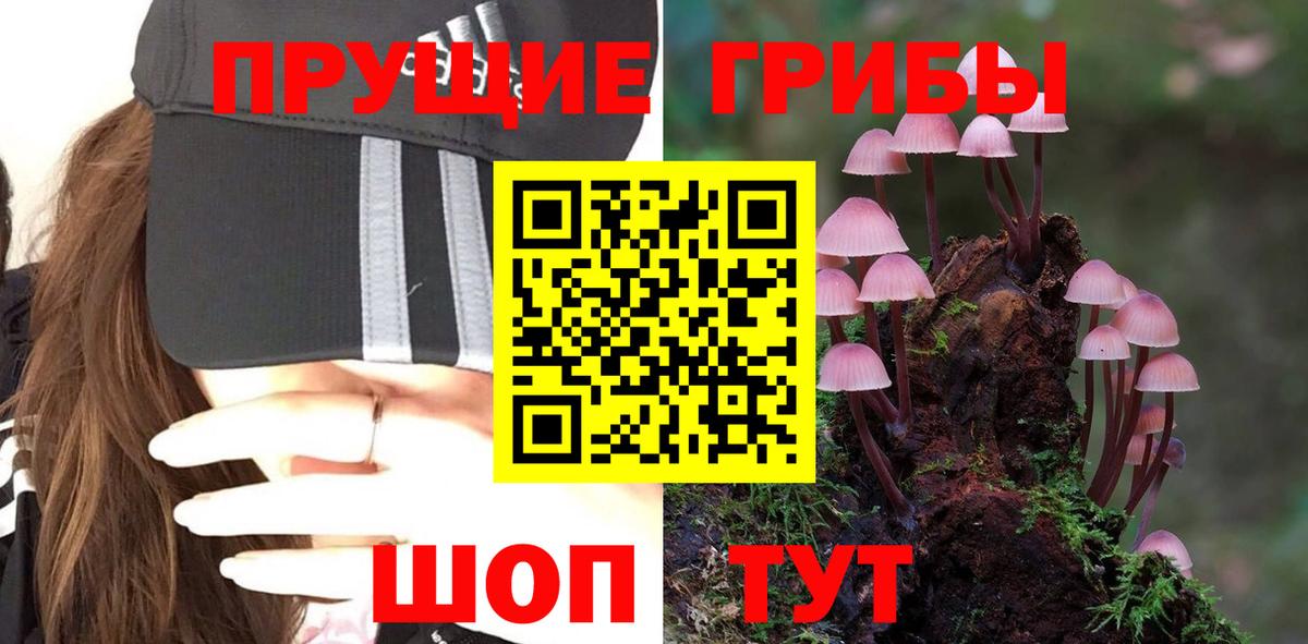 Семёнов  Псилоцибиновые грибы Cubensis  Вход с VPN 