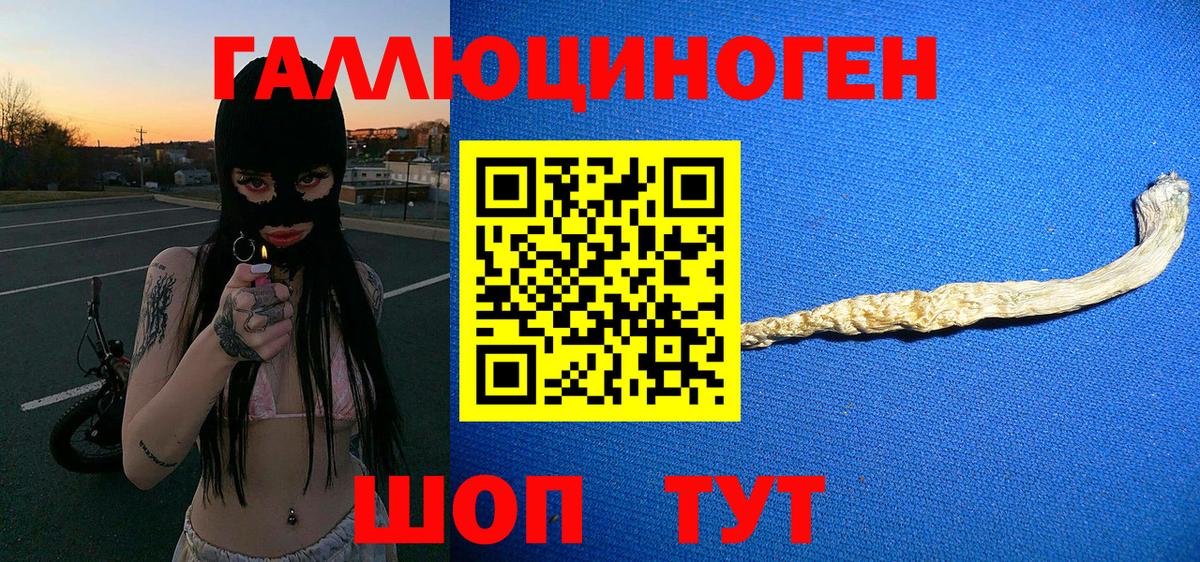 Псилоцибиновые грибы Psilocybe Семёнов